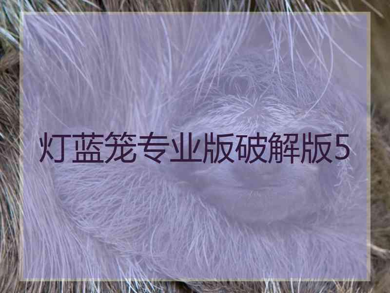 灯蓝笼专业版破解版5