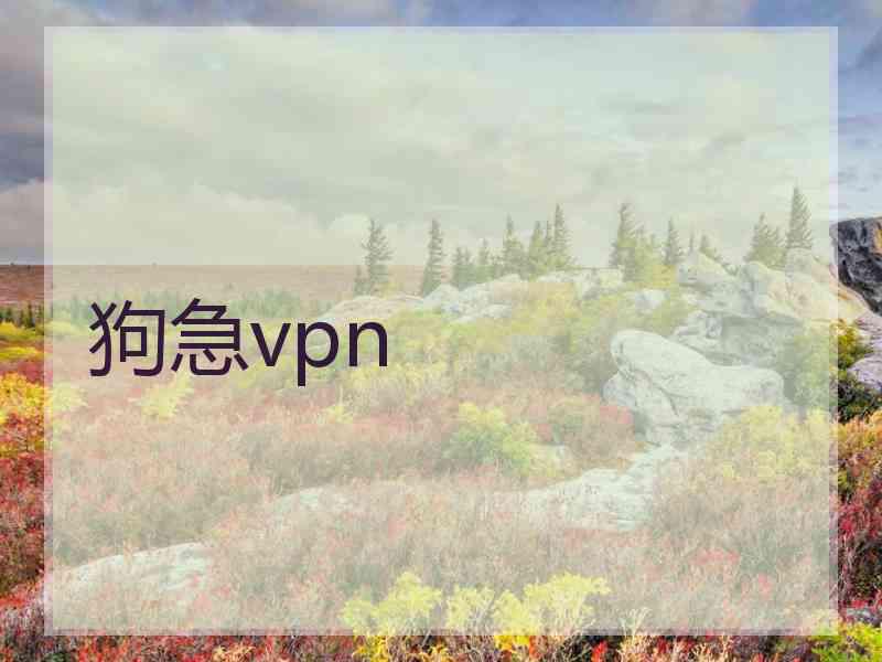 狗急vpn