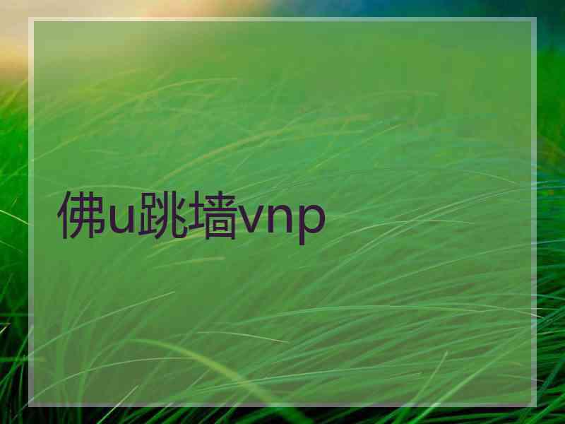 佛u跳墙vnp