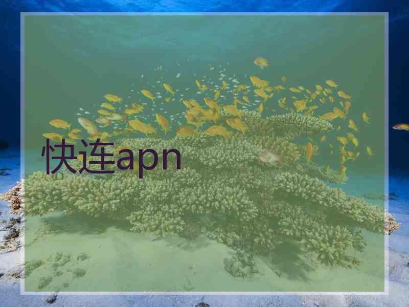 快连apn