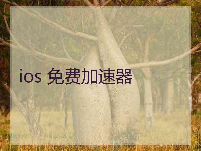 ios 免费加速器