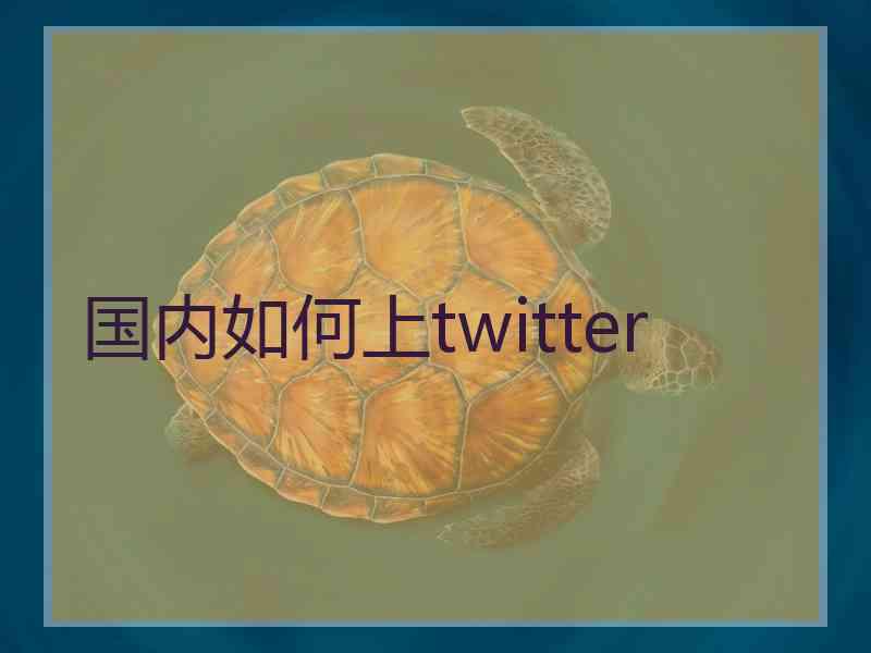 国内如何上twitter