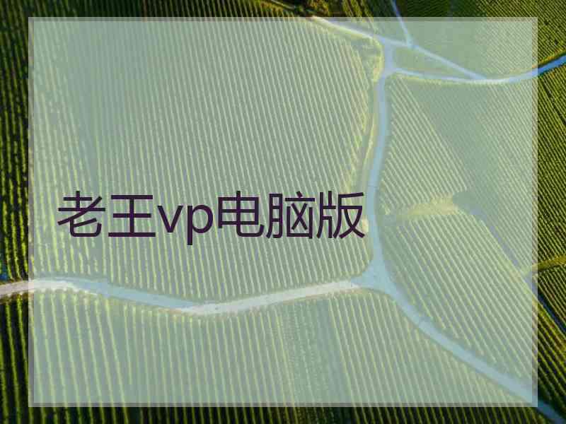 老王vp电脑版