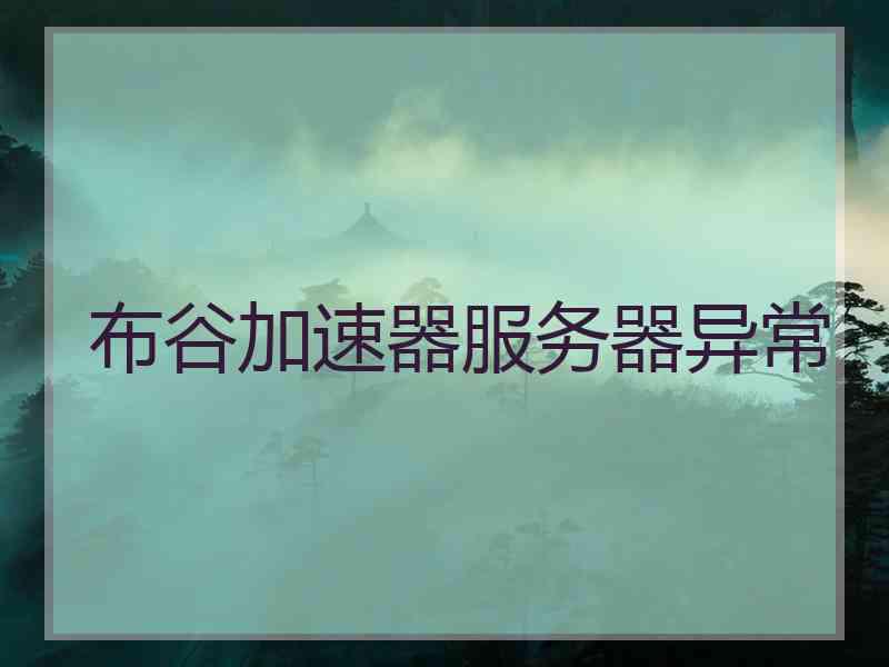 布谷加速器服务器异常