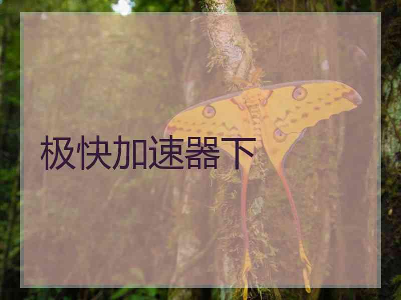极快加速器下