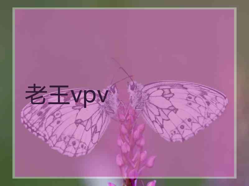老王vpv