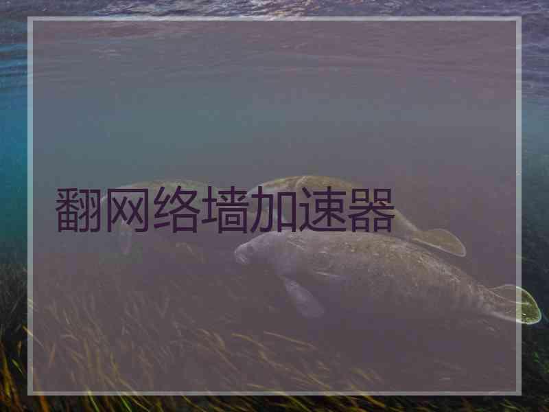 翻网络墙加速器