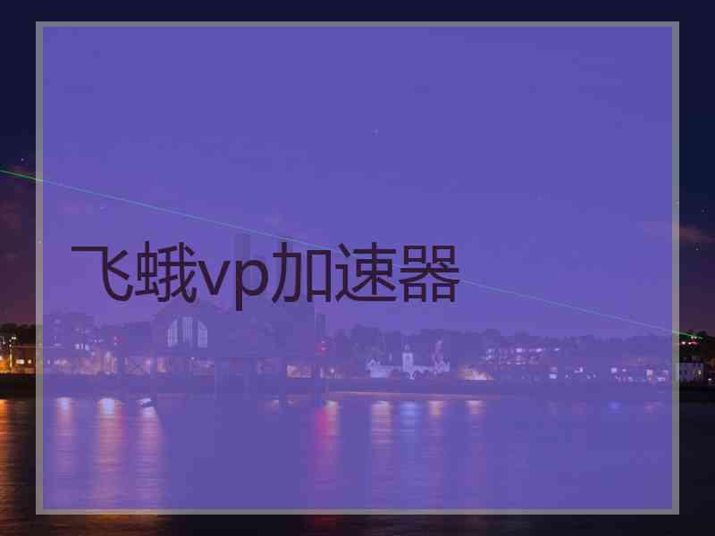 飞蛾vp加速器