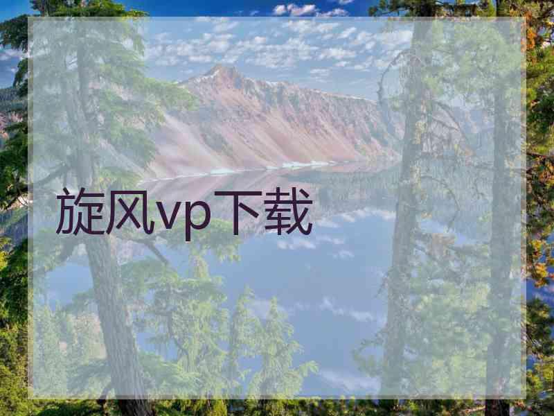旋风vp下载