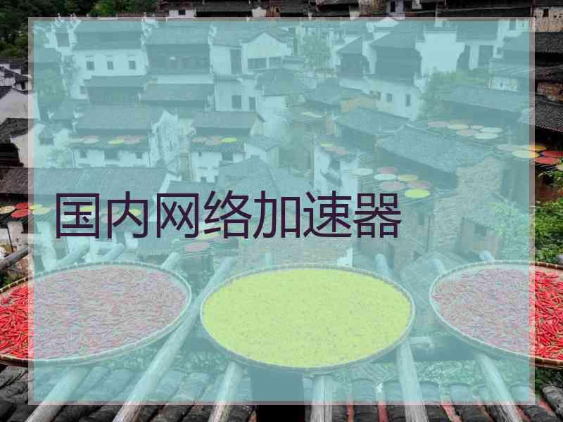 国内网络加速器
