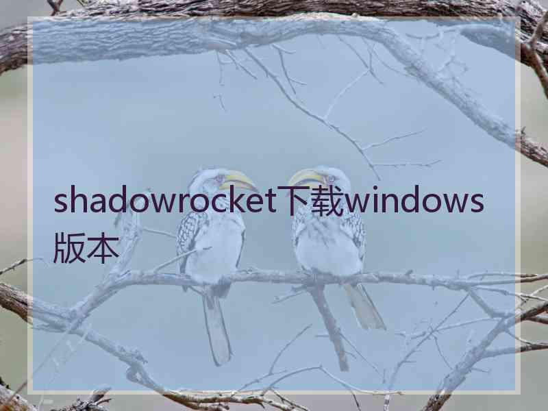 shadowrocket下载windows版本
