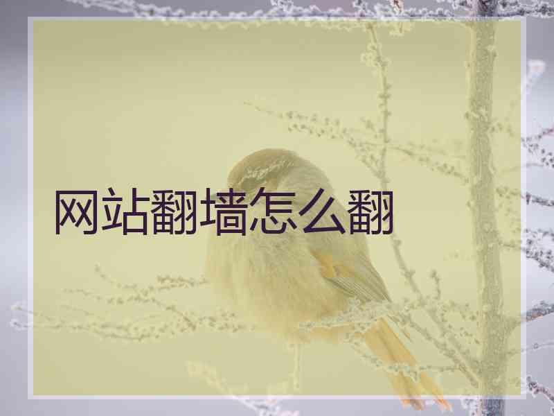 网站翻墙怎么翻