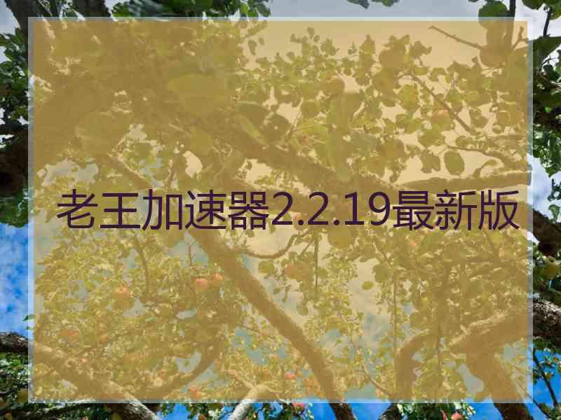 老王加速器2.2.19最新版