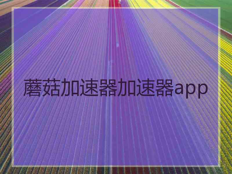 蘑菇加速器加速器app
