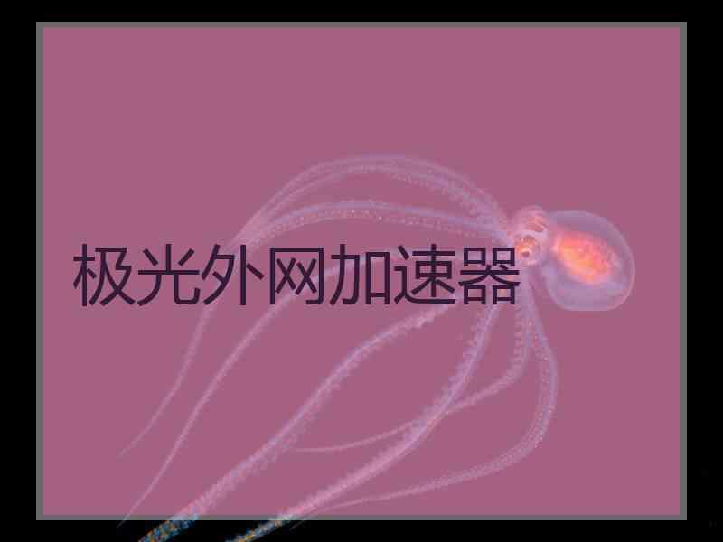 极光外网加速器