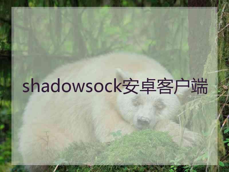 shadowsock安卓客户端