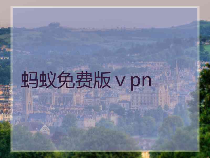 蚂蚁免费版ⅴpn