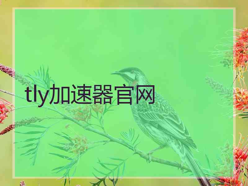 tly加速器官网