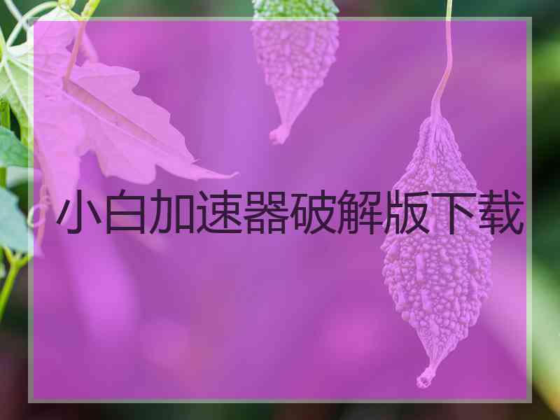 小白加速器破解版下载