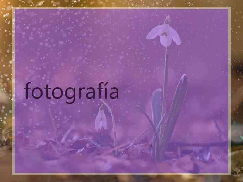 fotografía