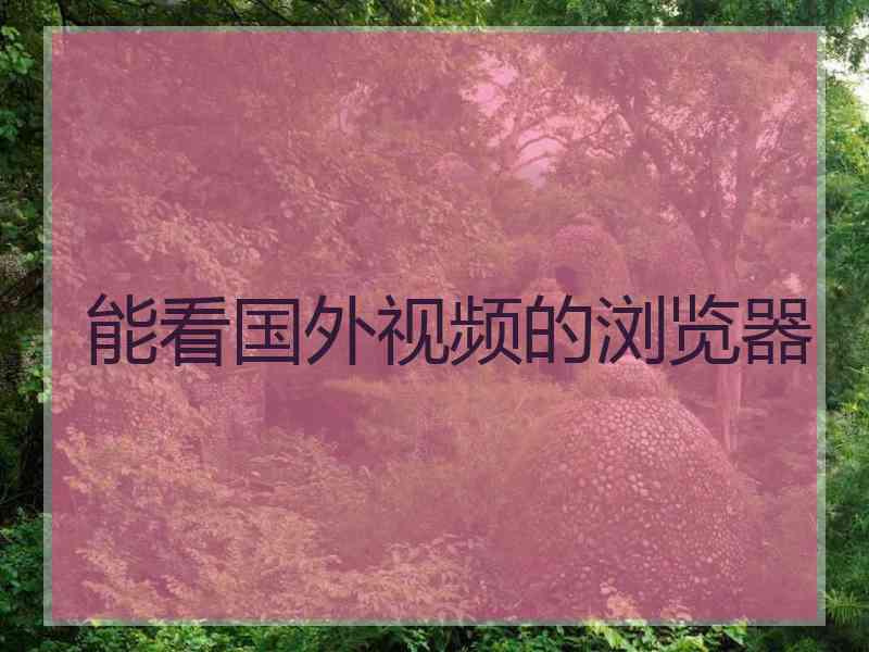 能看国外视频的浏览器