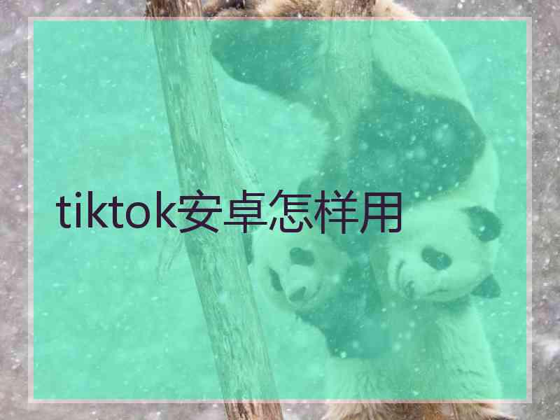 tiktok安卓怎样用