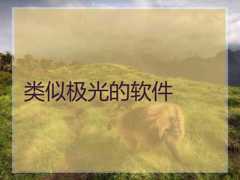 类似极光的软件