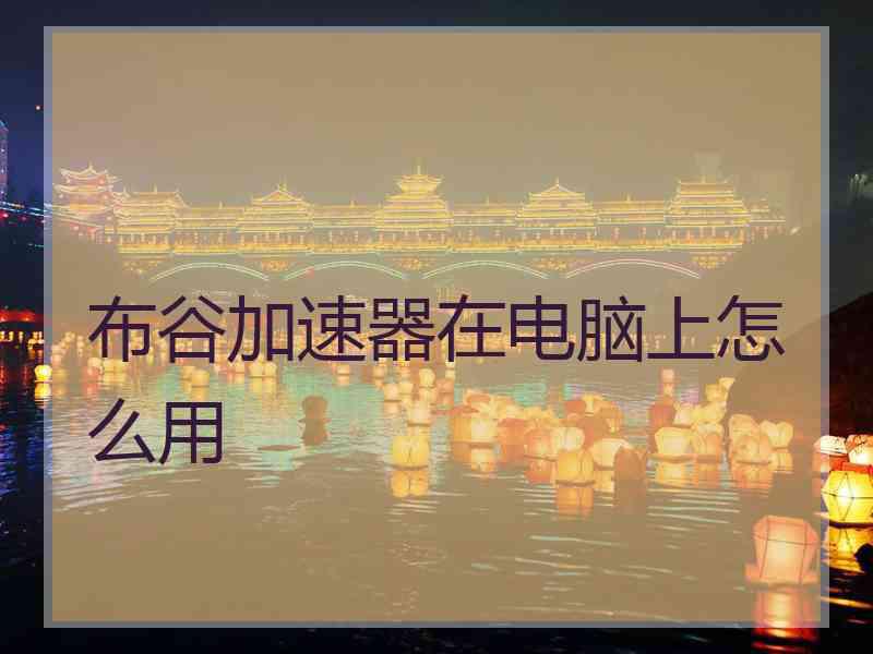 布谷加速器在电脑上怎么用