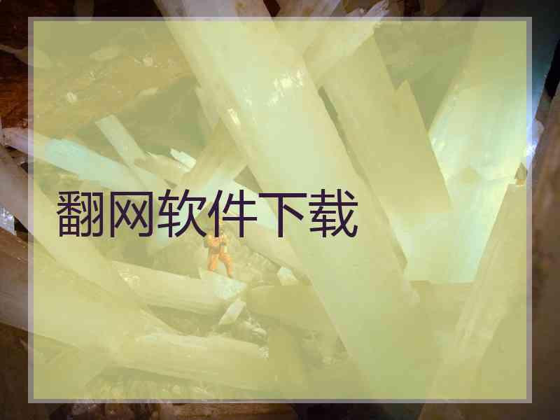 翻网软件下载