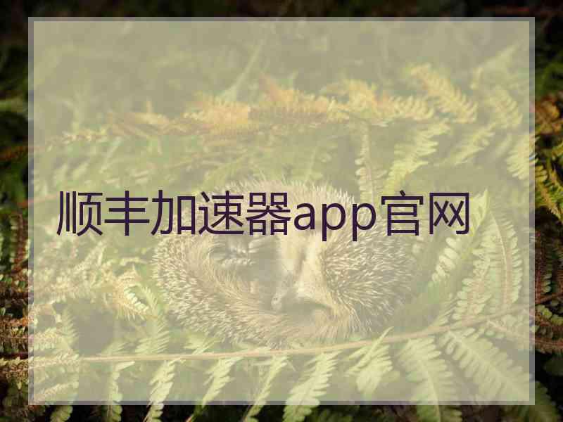 顺丰加速器app官网