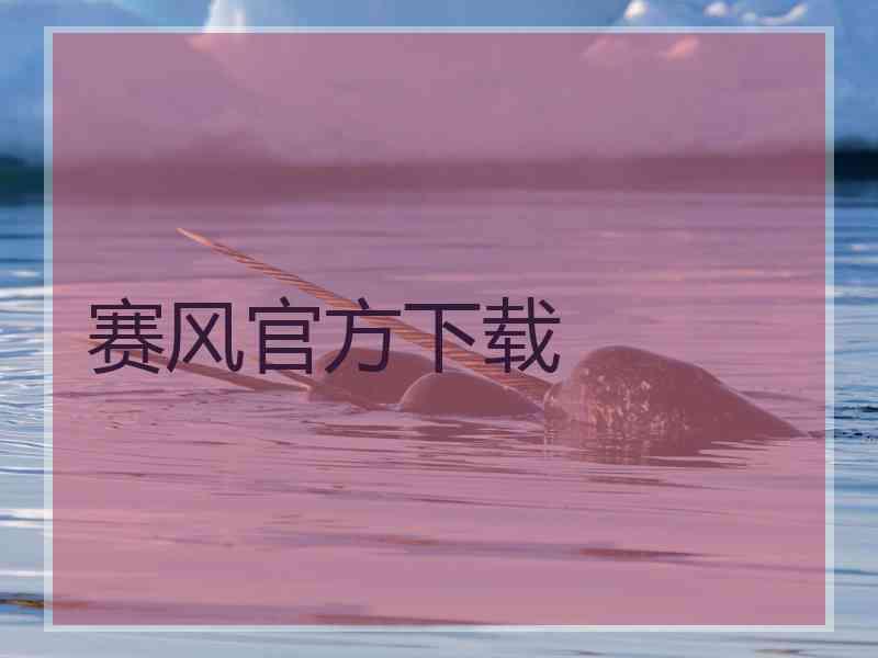 赛风官方下载