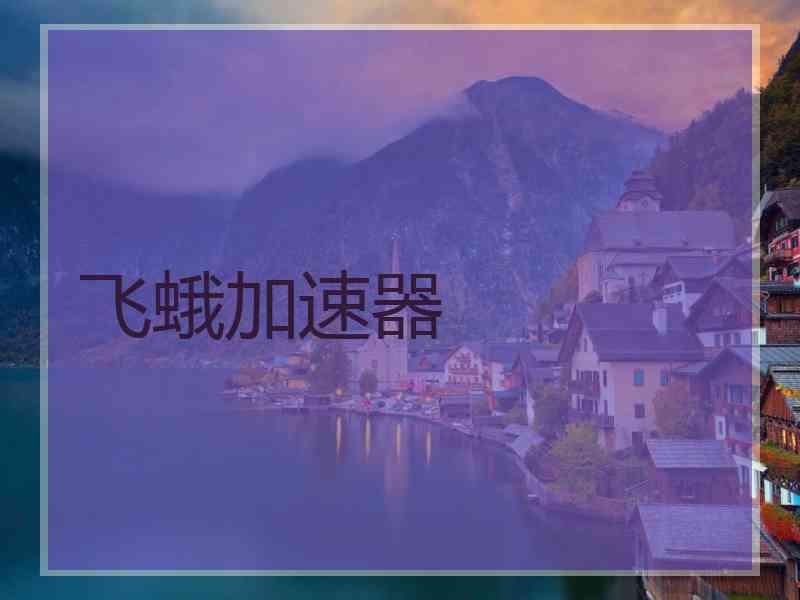 飞蛾加速器