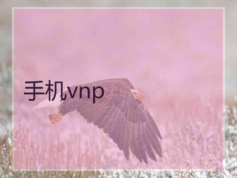 手机vnp
