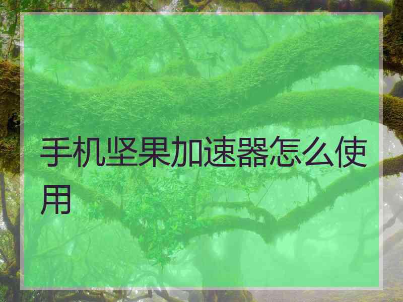 手机坚果加速器怎么使用