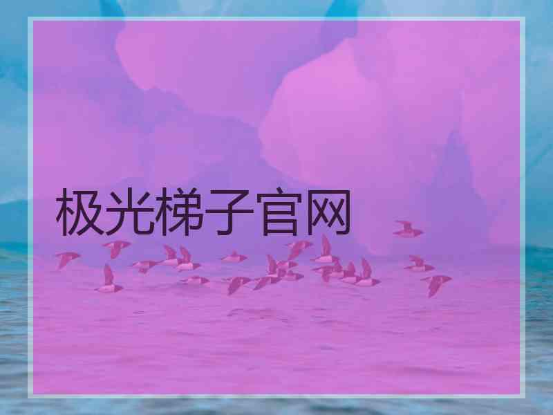 极光梯子官网