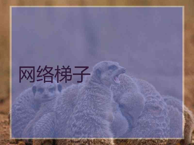 网络梯子