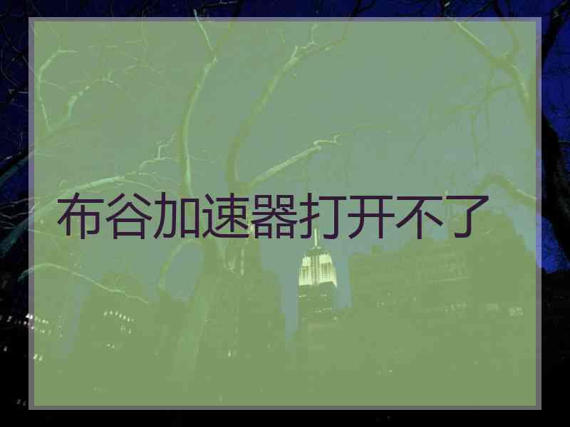 布谷加速器打开不了