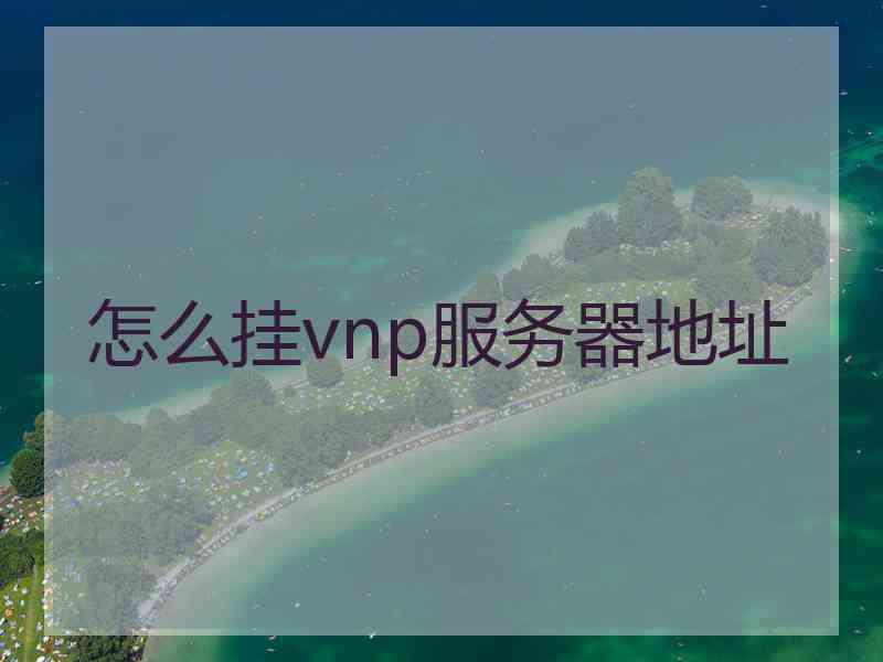 怎么挂vnp服务器地址