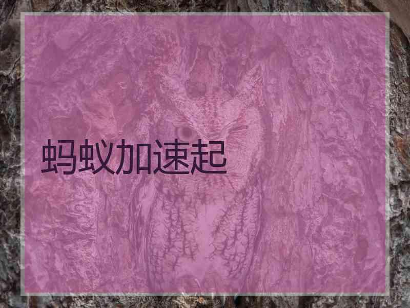 蚂蚁加速起