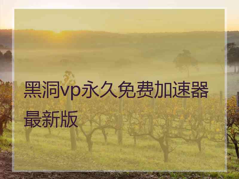 黑洞vp永久免费加速器最新版