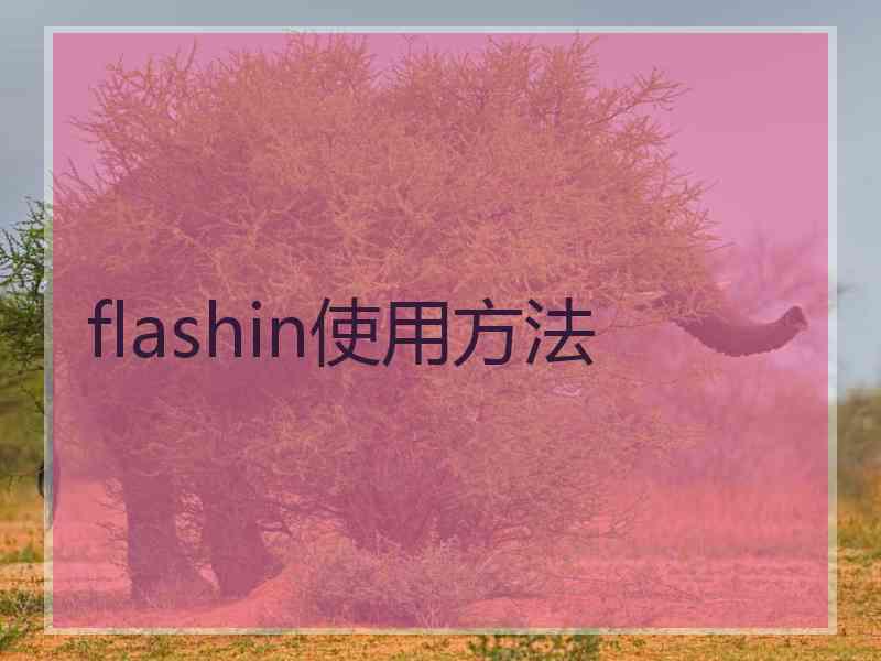 flashin使用方法