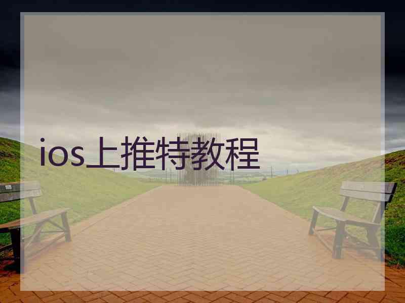 ios上推特教程