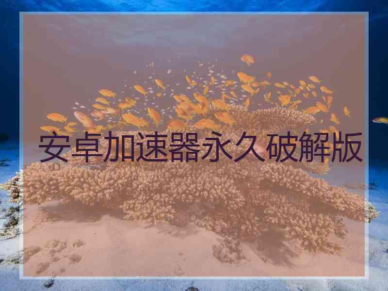 安卓加速器永久破解版