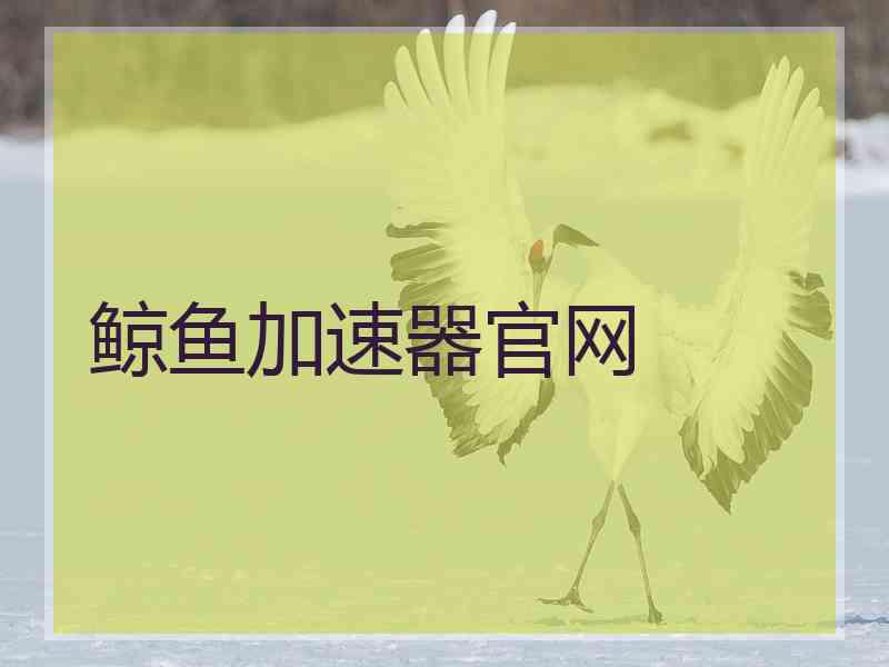 鲸鱼加速器官网