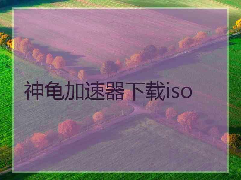 神龟加速器下载iso