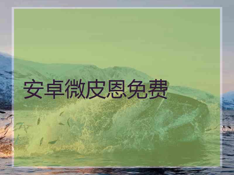 安卓微皮恩免费