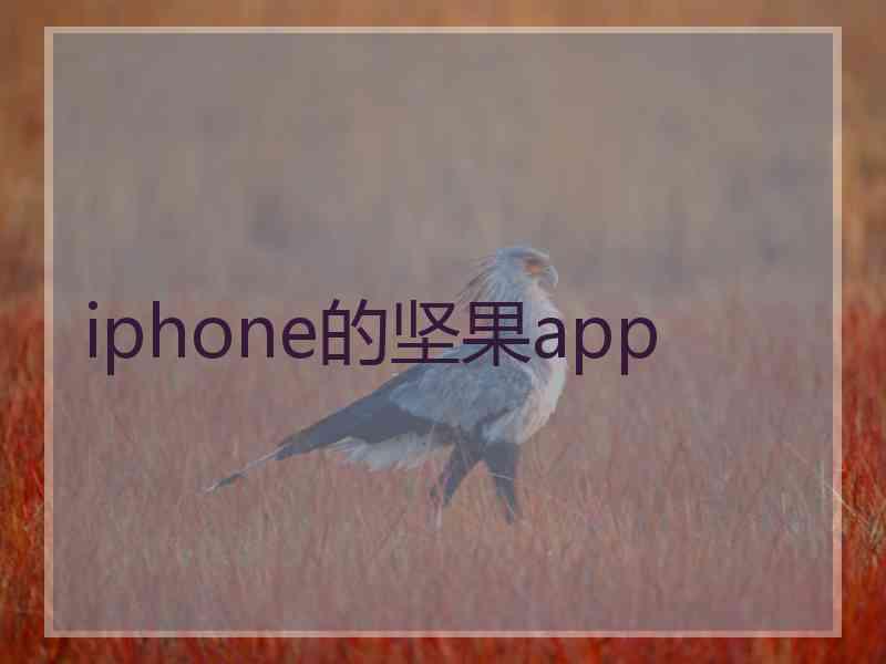 iphone的坚果app