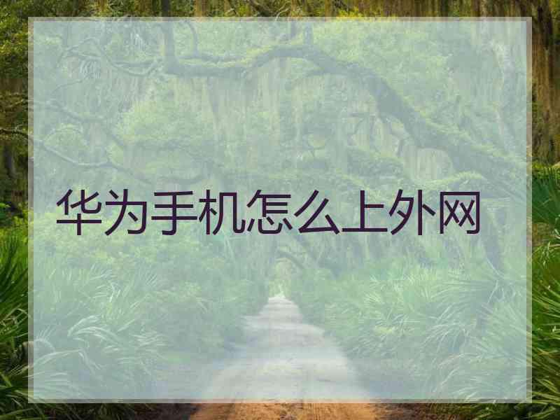 华为手机怎么上外网