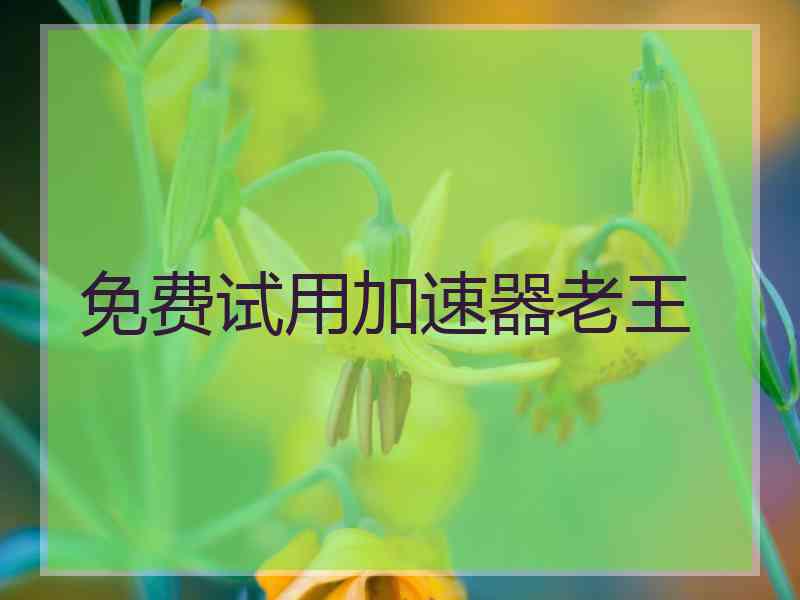 免费试用加速器老王