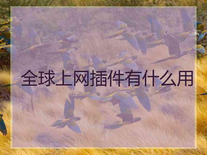 全球上网插件有什么用
